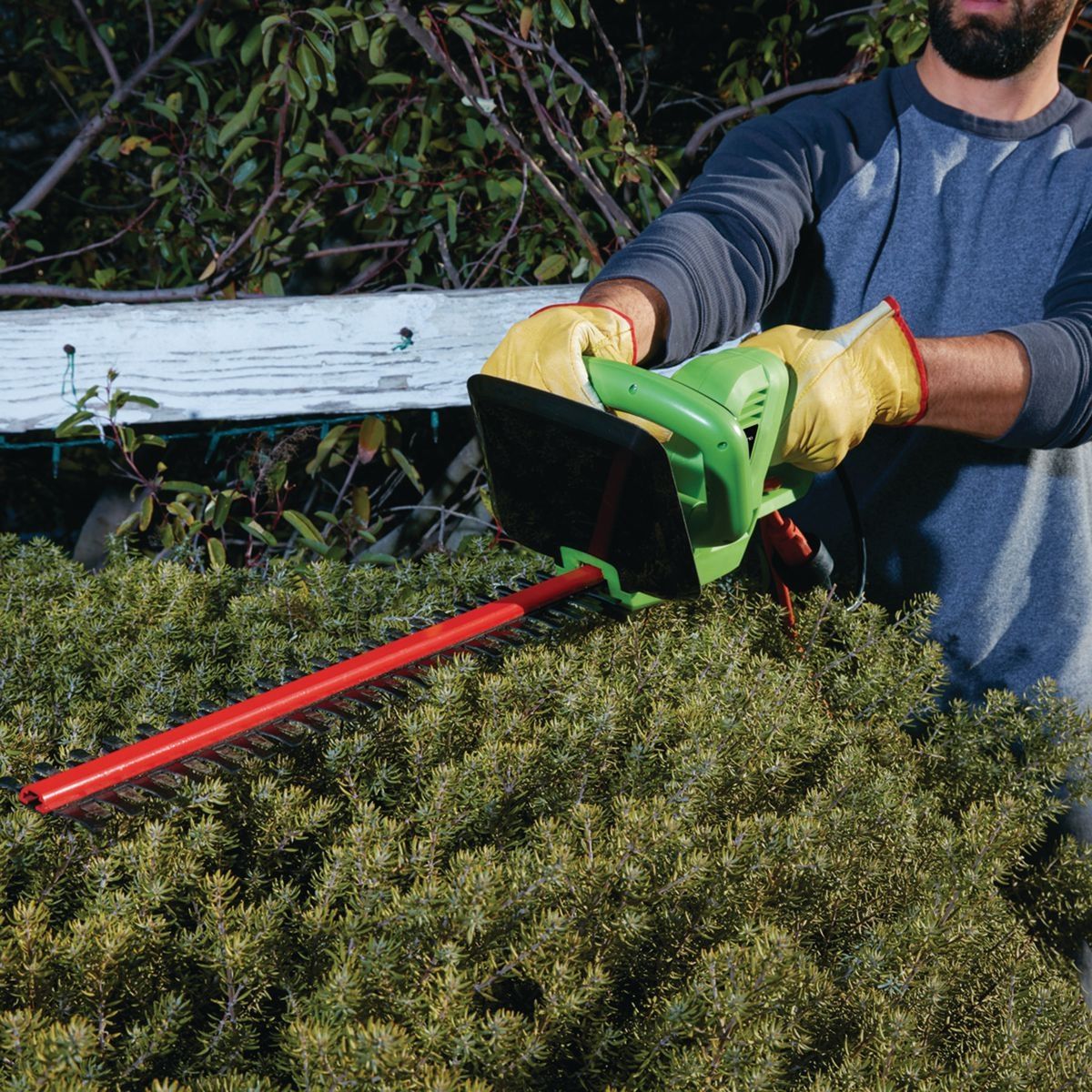 3.5 Amp 22 in. Electric Hedge Trimmer N489
