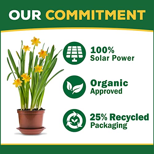 8 Ounce Concentrated Indoor Plant Food Fertilizer I2764
