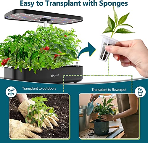 24pcs Seed Starter Pods with Nutrient Plant Foods V42540