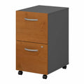 Natural Cherry 2-Drawer Mobile Filing Cabinet R664325