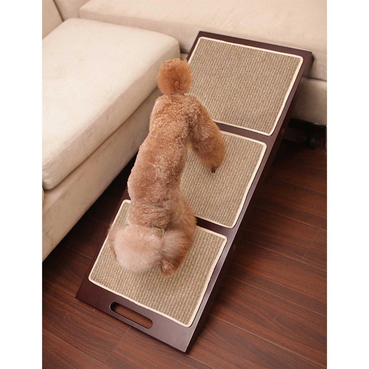 Collapsible Pet Ramp S165127