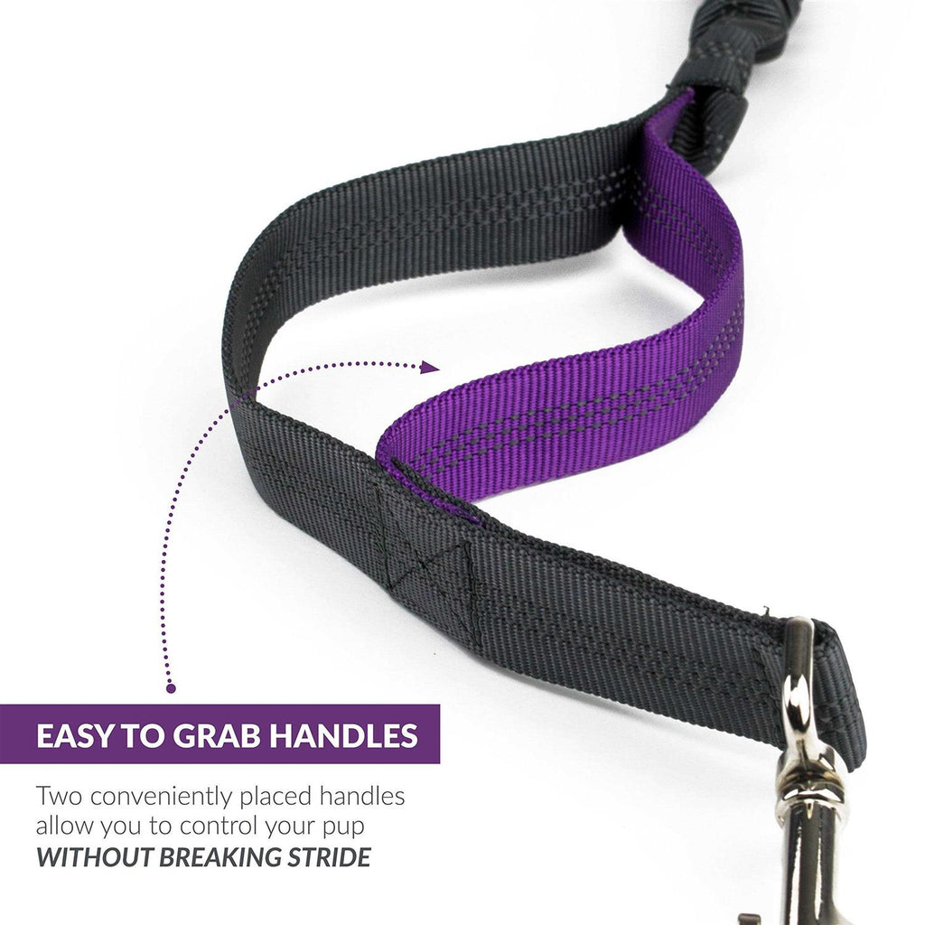 Hands Free Dog Leash M54552