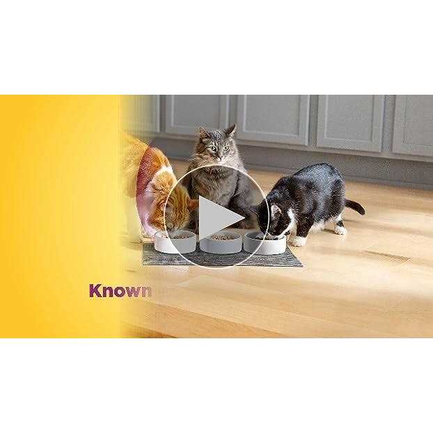 Original Choice Cat Food K867365