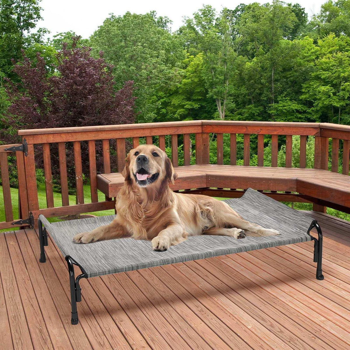 Elevated Dog Bed with Washable Mesh J891