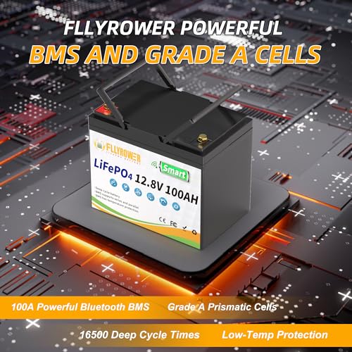 12V 100AH Lithium LiFePO4 Battery with BMS O728018