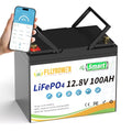 12V 100AH Lithium LiFePO4 Battery with BMS O728018