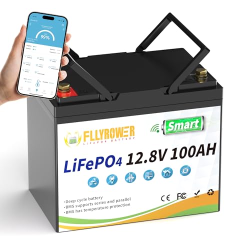 12V 100AH Lithium LiFePO4 Battery with BMS O728018