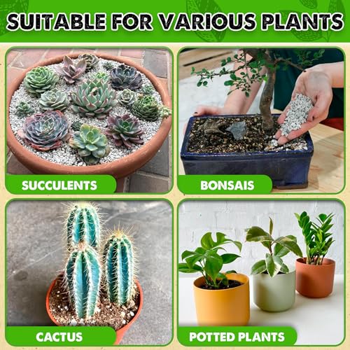 Horticultural Pumice 2 QT 1/4" - 3/8" T285050