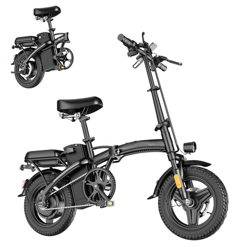 14" Mini Folding Electric Bike with 48V12AH Removable Battery J498