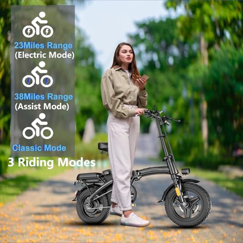 14" Mini Folding Electric Bike with 48V12AH Removable Battery J498