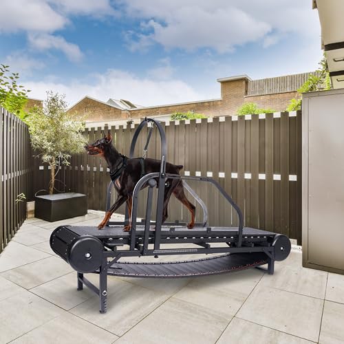 Adjustable Ramp Canine Running Slatmill Machine with Pedometer Z580