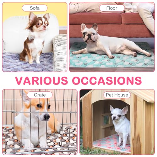 4 Pack Self Warming Cat Bed with Removable Cover, 16 x 20 Inches D87619