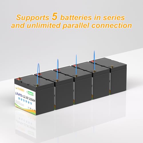 12V 100AH Lithium LiFePO4 Battery with BMS O728018