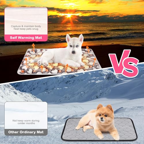 4 Pack Self Warming Cat Bed with Removable Cover, 16 x 20 Inches D87619
