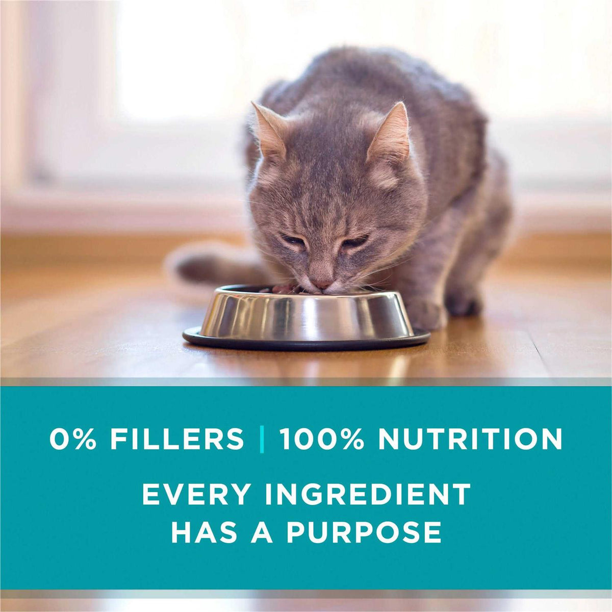 True Instinct Cat Food I66053