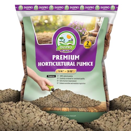 Horticultural Pumice 2 QT 1/4" - 3/8" T285050