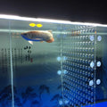 Acrylic Divider with Suction Cups I1174