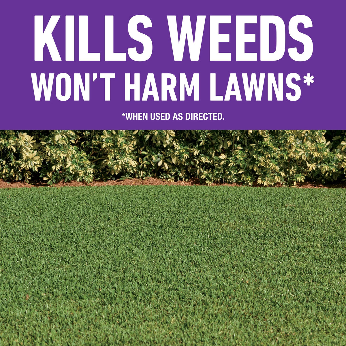 Weed Killer 1 gal. C725