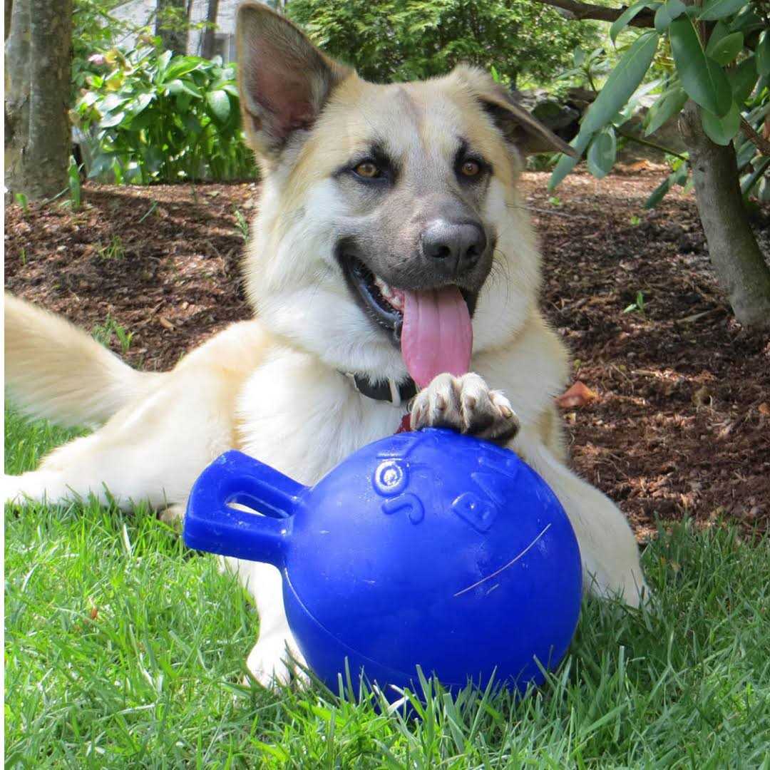Tug N Toss Ball K510