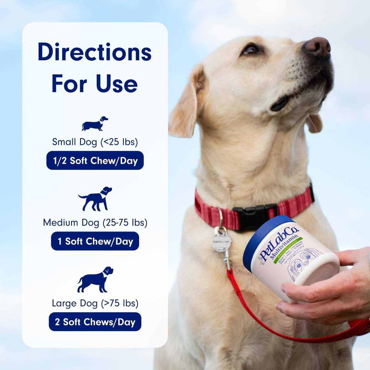 22 in 1 Dog Multivitamin Y9458