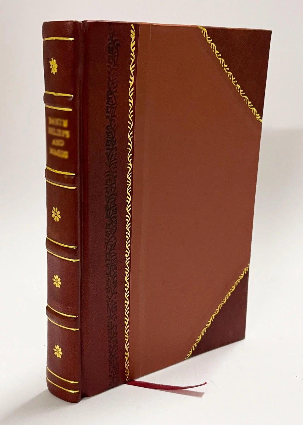 1917 Seed Catalogue Leather Bound H539655