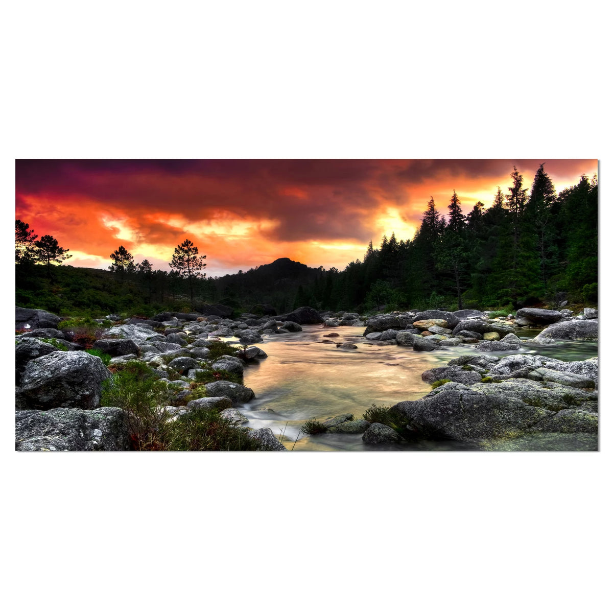 Extra Large Wall Art Landscape C611