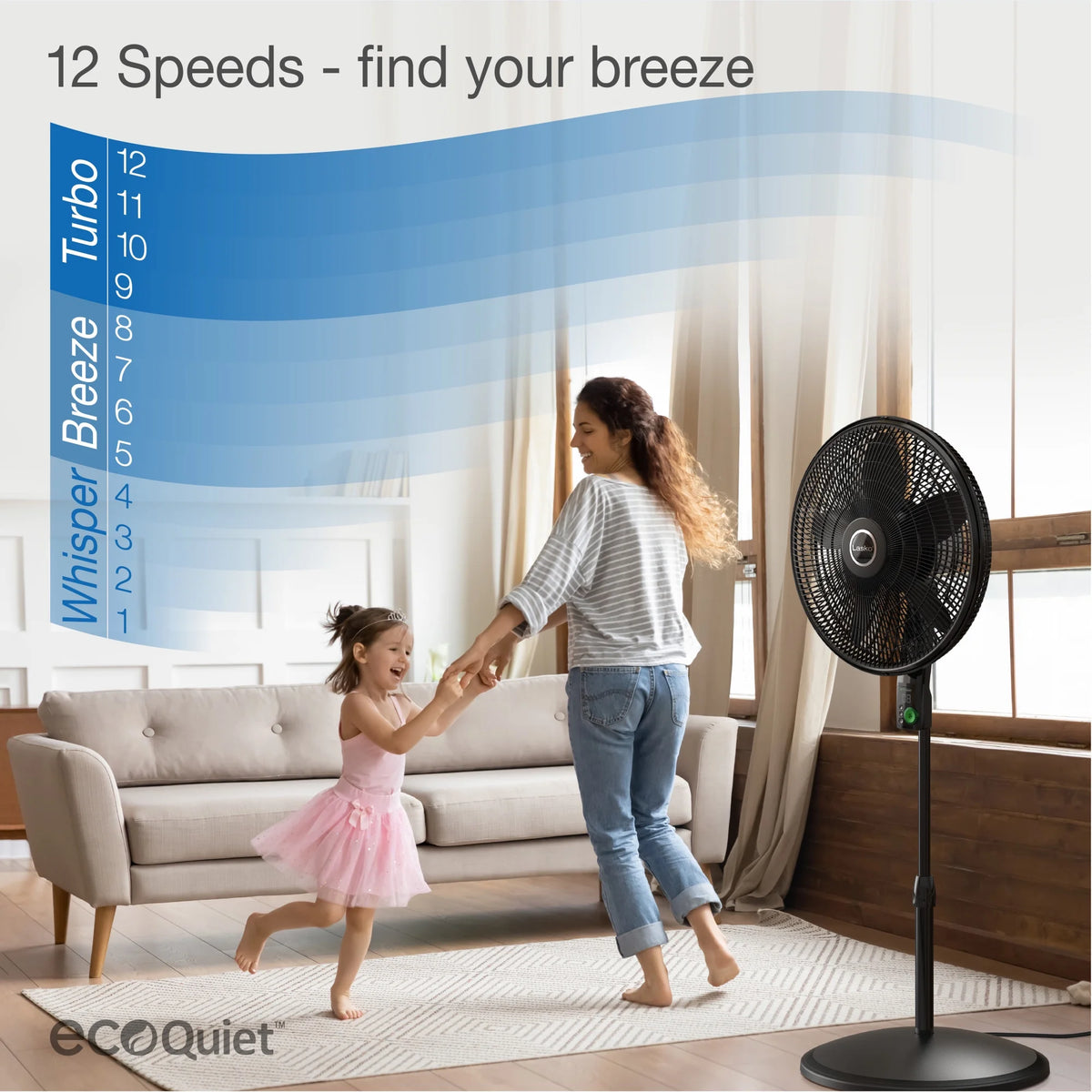 18" DC Motor Pedestal Fan with Remote, Black T450