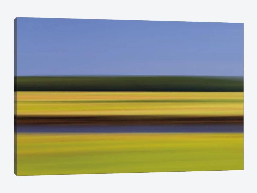 Large Canvas Art Prints K87570