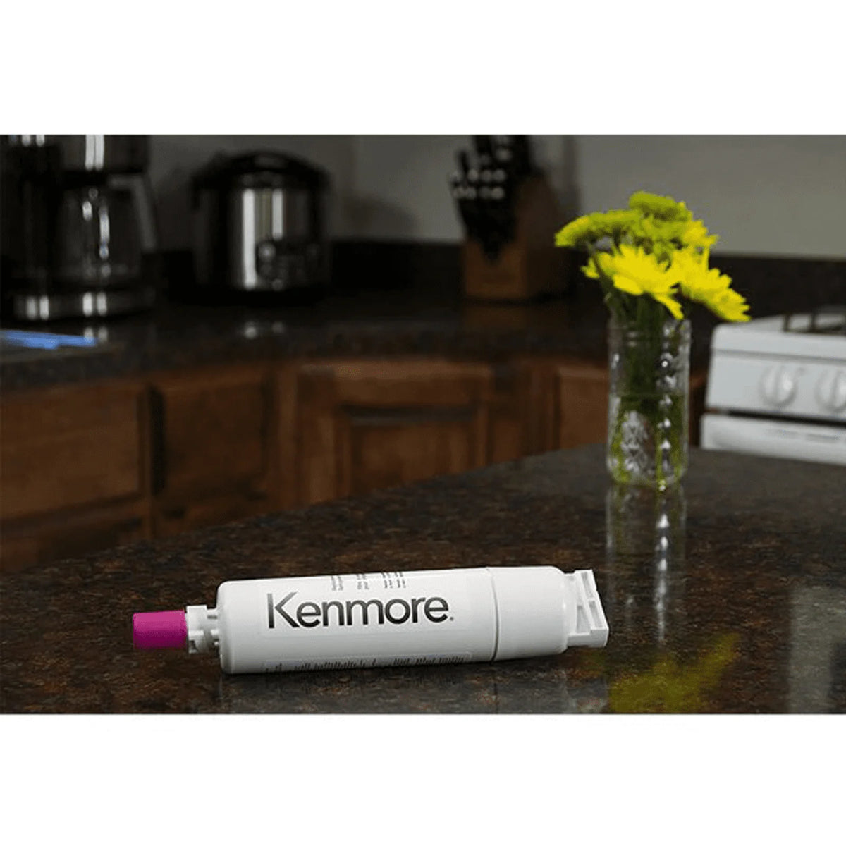 Refrigerator Water Filter Replacement Compatible with Kenmore 46-90410, 469010, 6-9085, 9085, AQUACREST AQF-4396508 K100058