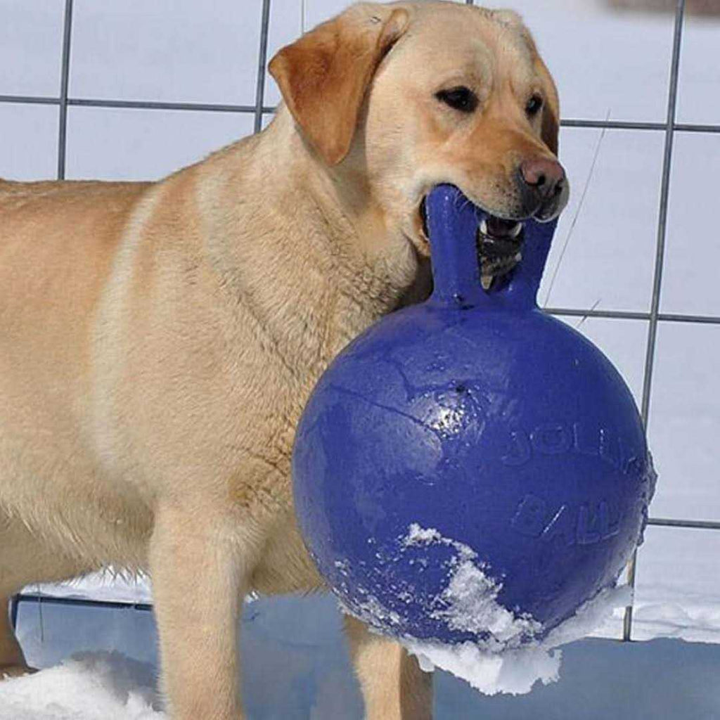 Tug N Toss Ball K510