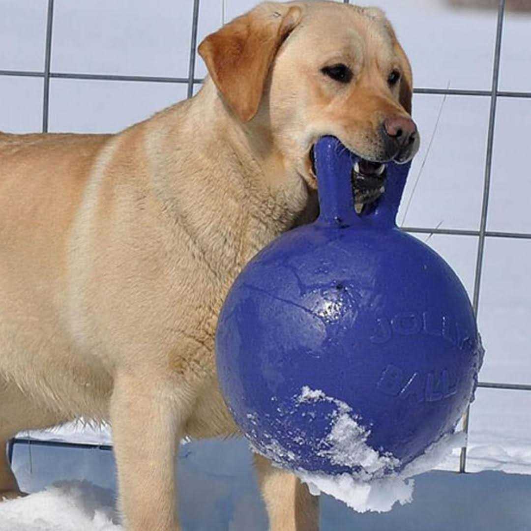 Tug N Toss Ball K510
