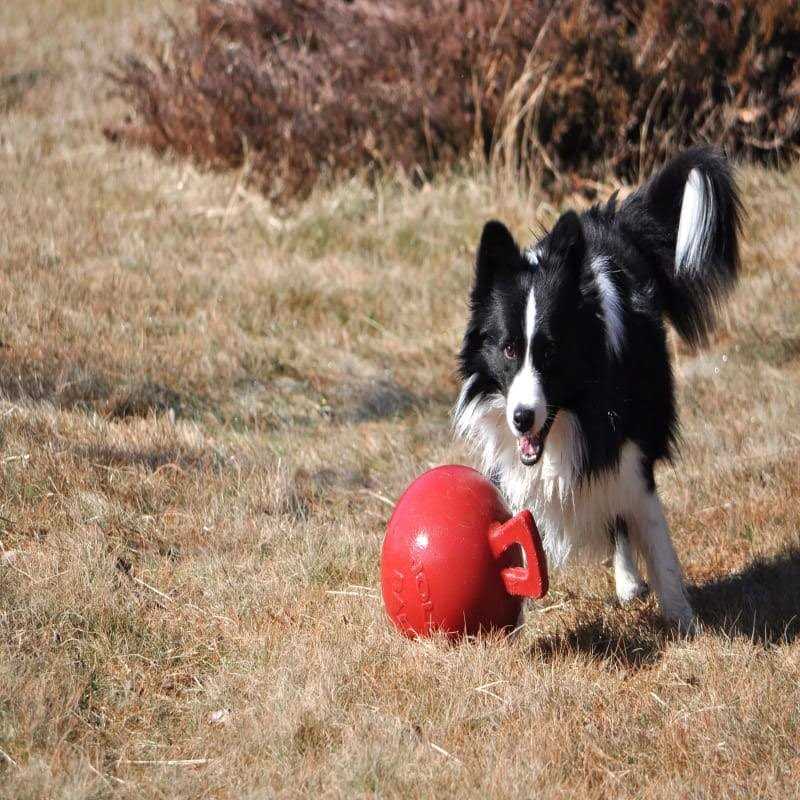 Tug N Toss Ball K510