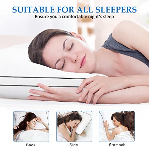 King Size Down Alternative Pillow Set of 2 C7713
