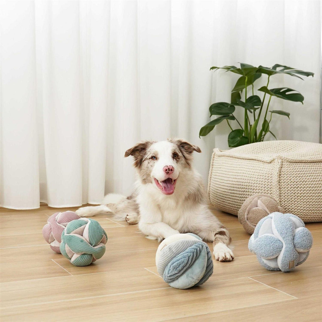 Dog Toy S914161