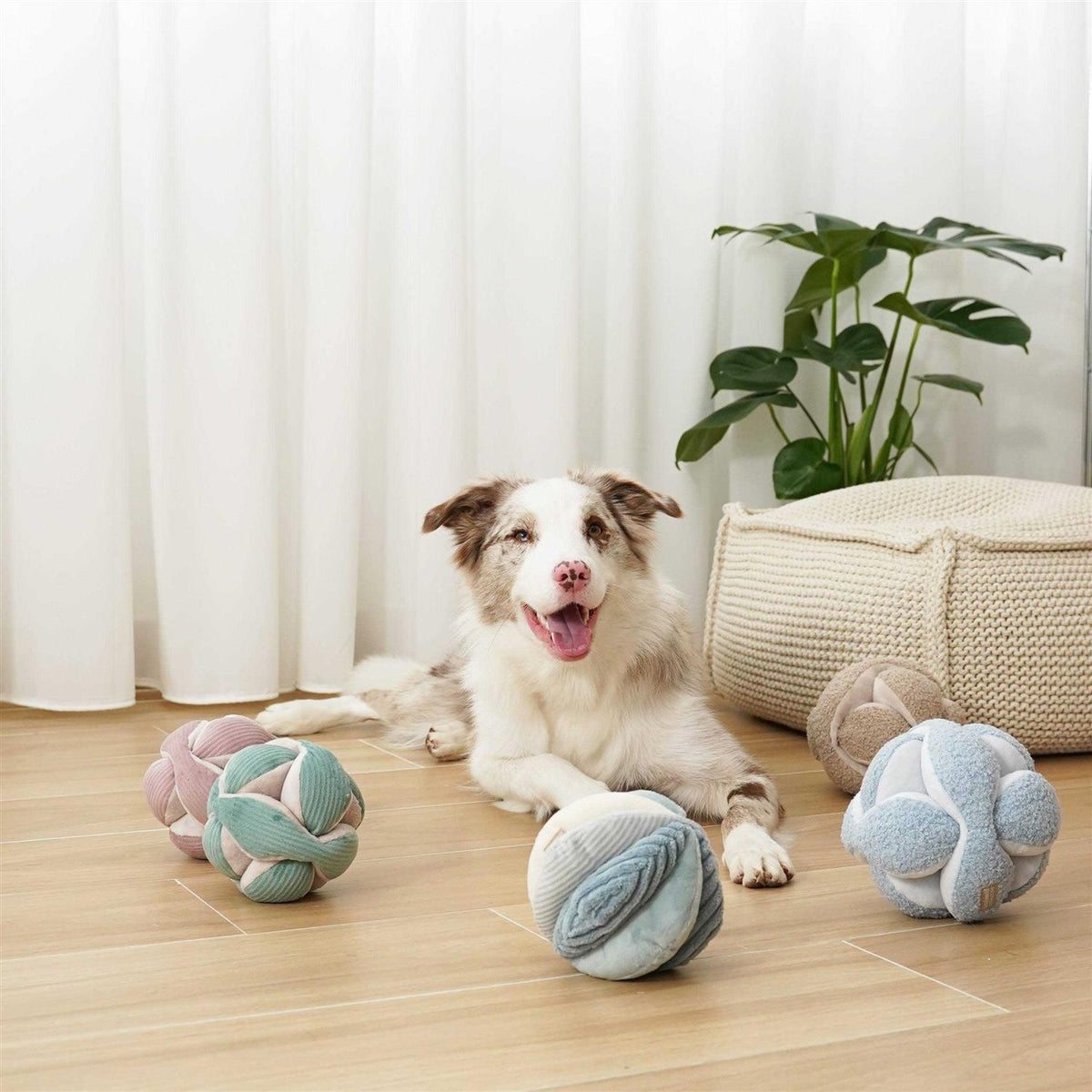 Dog Toy S914161
