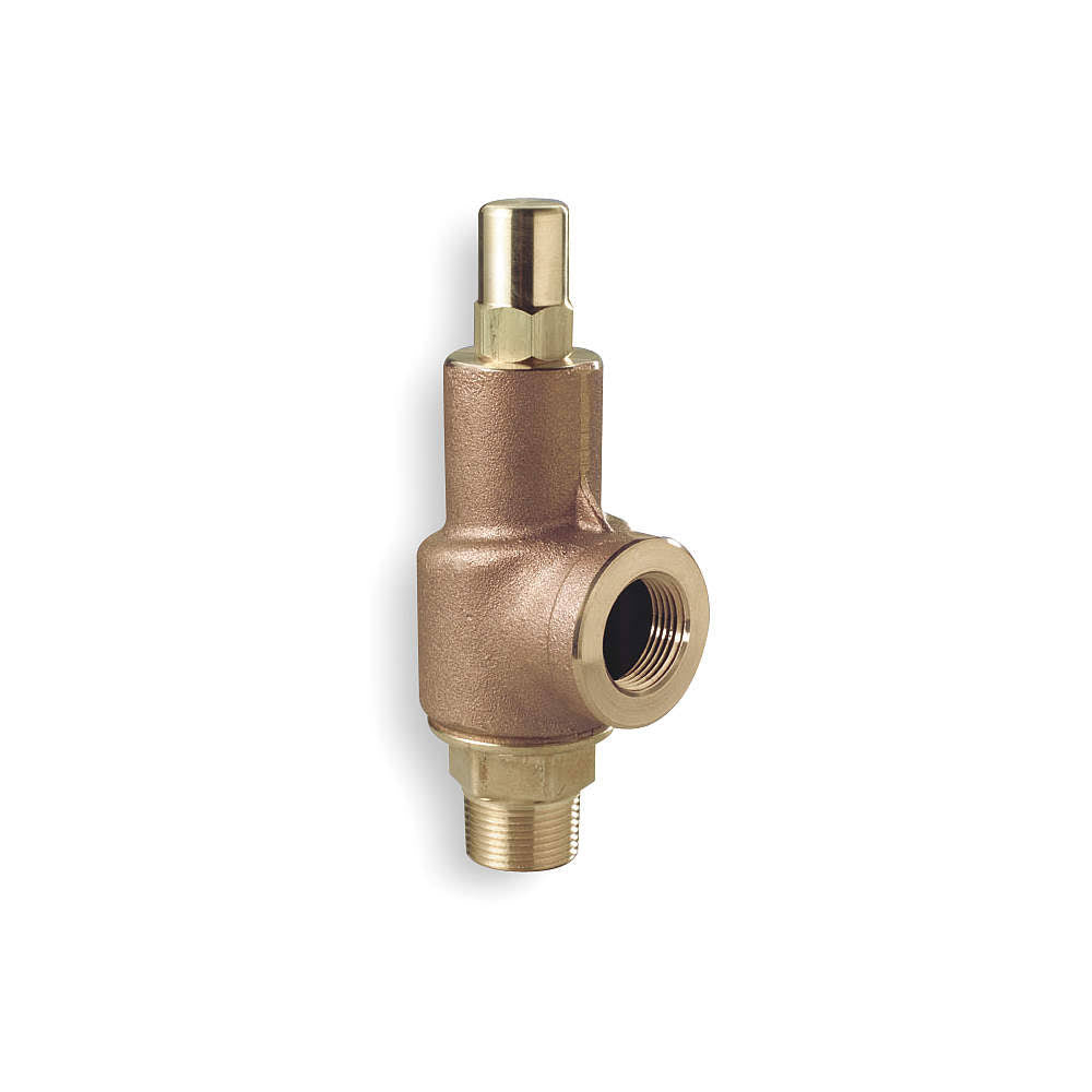Adjustable Relief Valve, 1-1/4 In, 600 PSI O9098