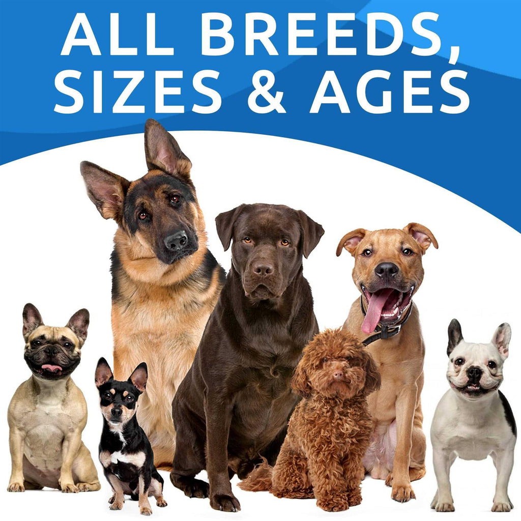 Probiotics For Dogs J165