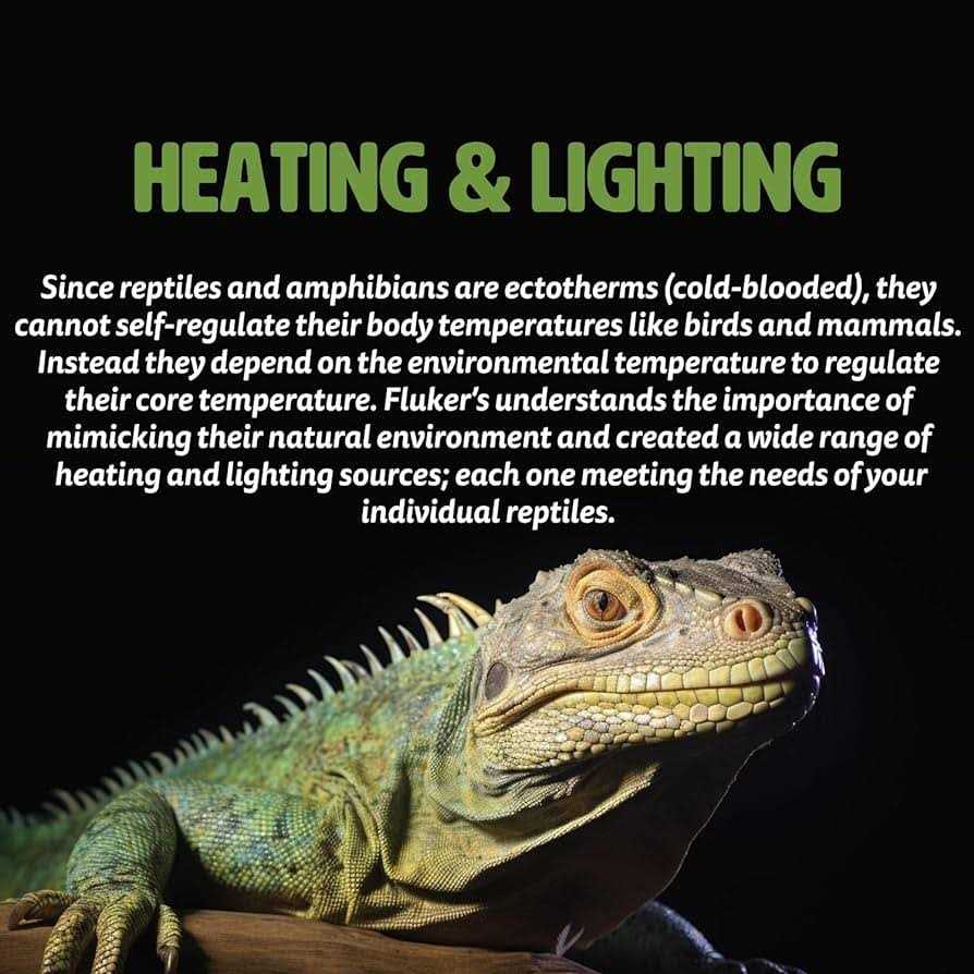 Deep Thermal Heat Lamp for Reptiles M982