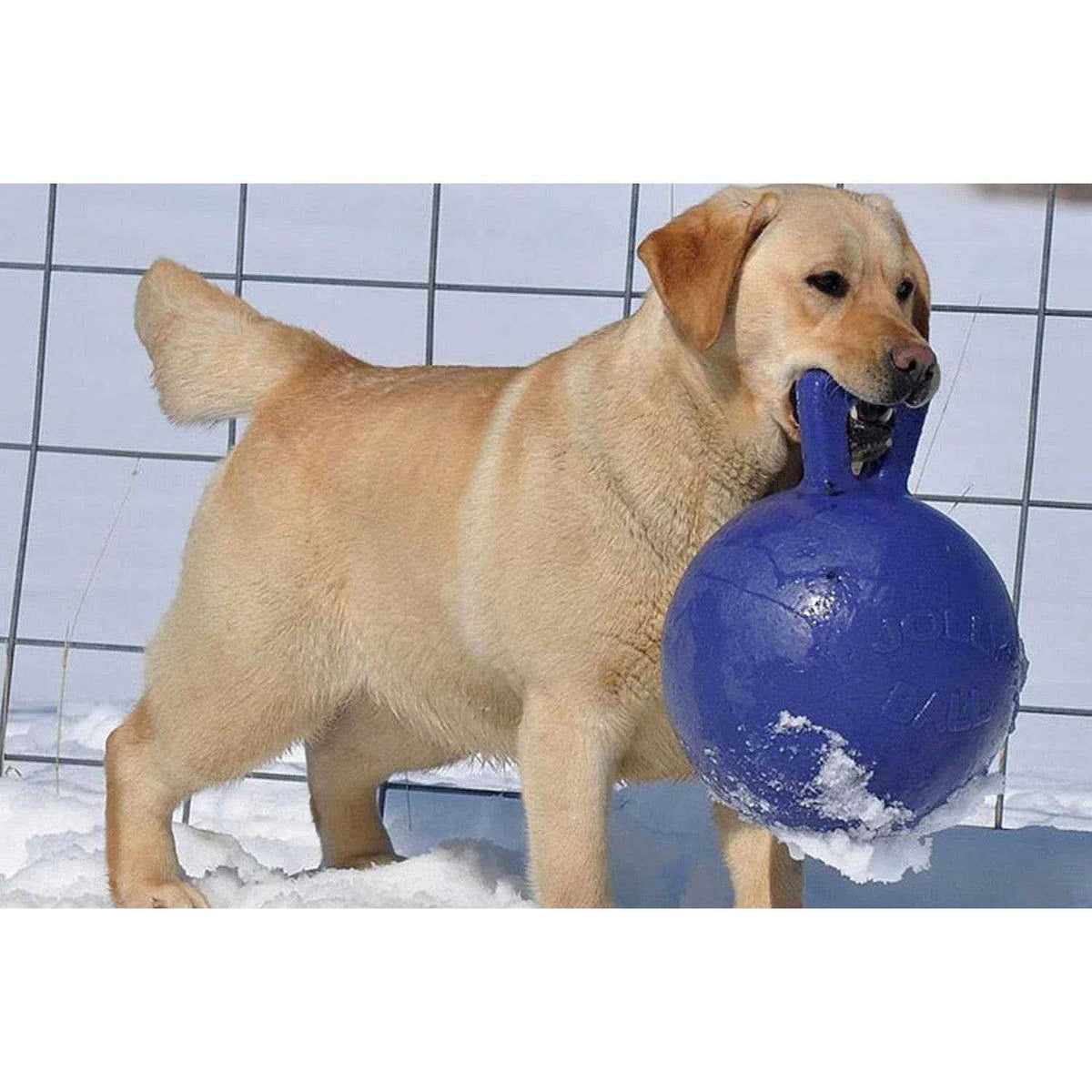 Tug N Toss Ball K510