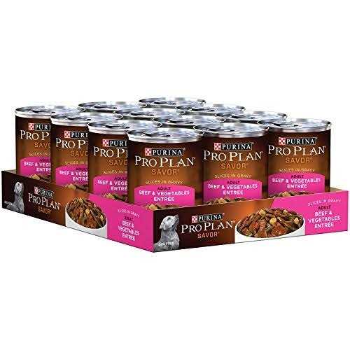 Beef & Vegetables Entree Adult Wet Dog Food Z803