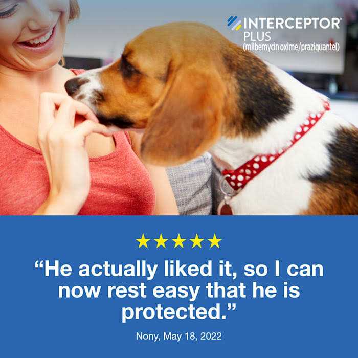 Chewable for Dogs K3804