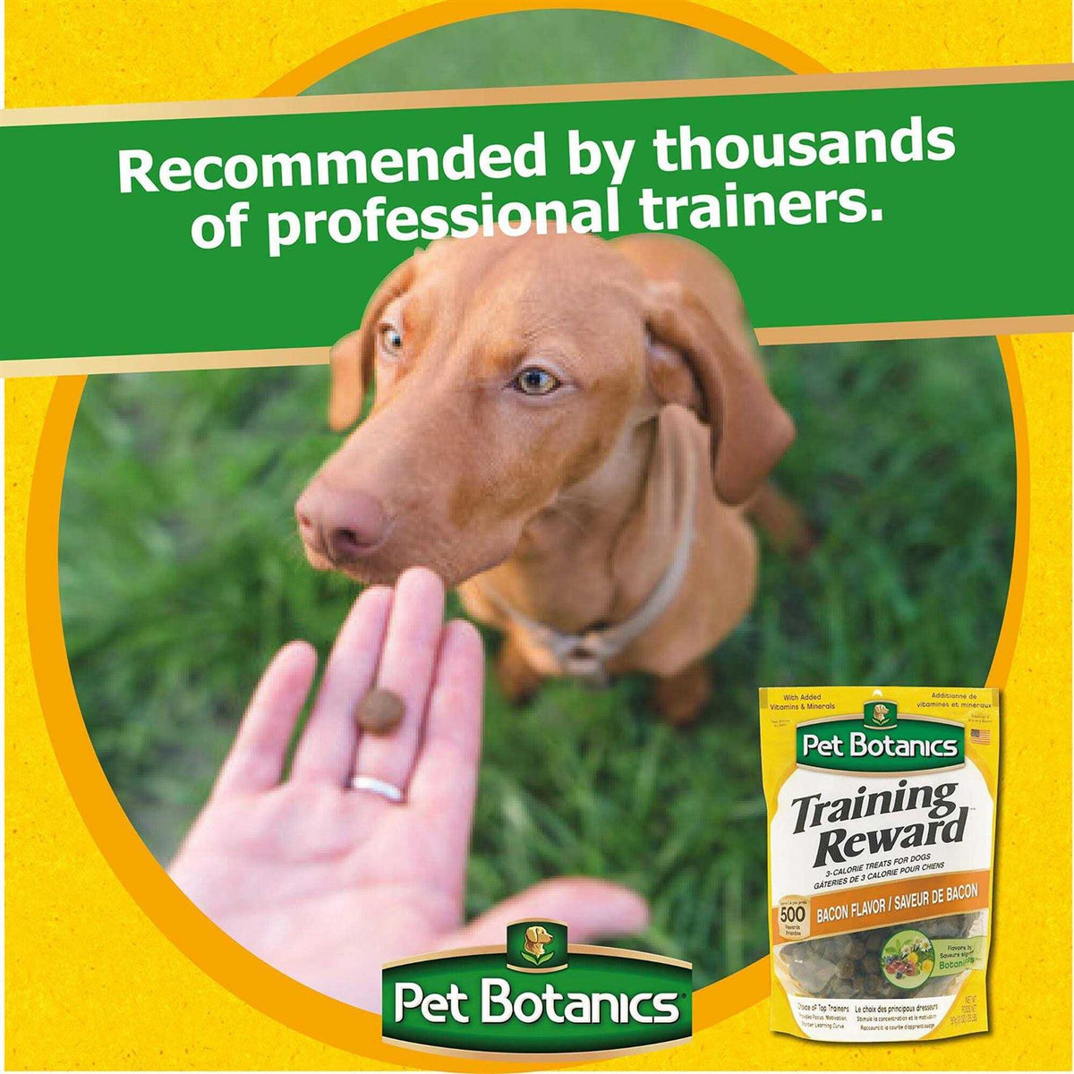 Bacon Dog Treats W360022