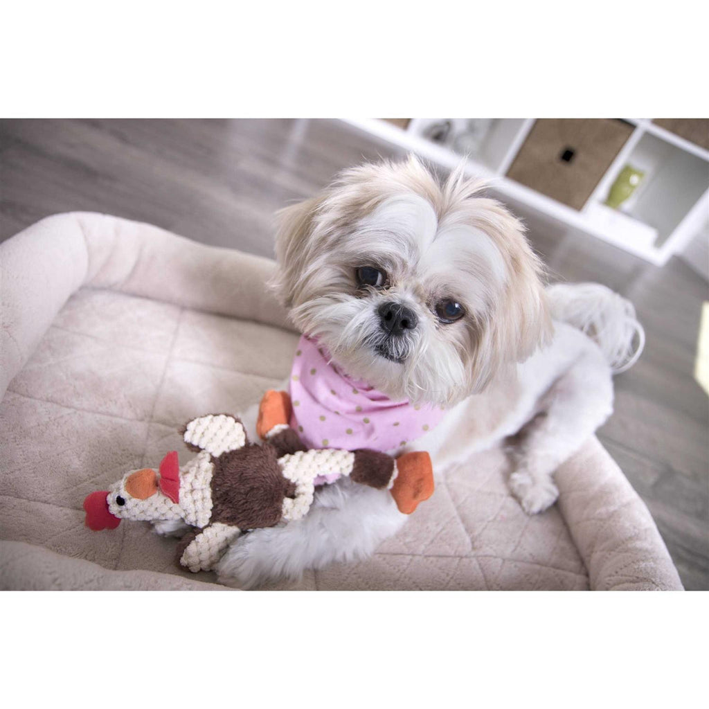 Skinny Rooster Dog Toy T809960