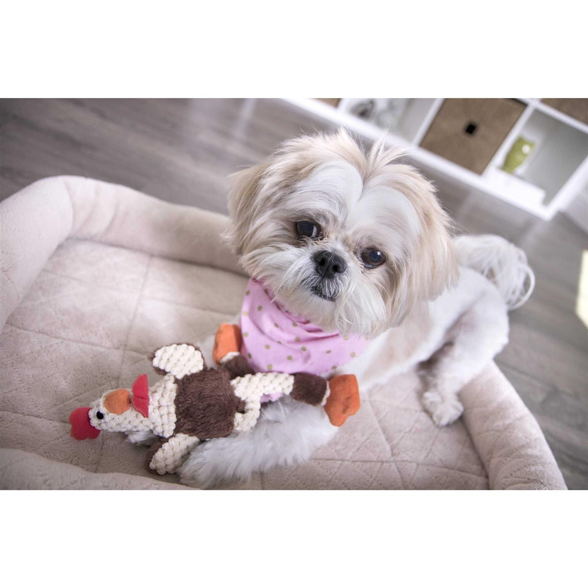 Skinny Rooster Dog Toy T809960