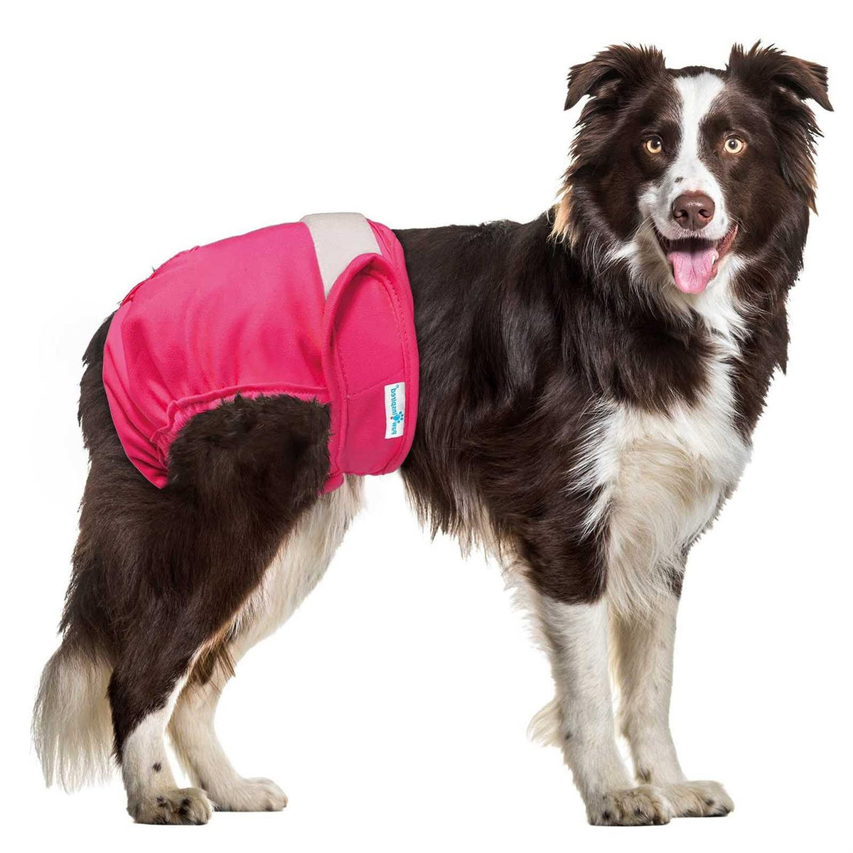 Washable Reusable Female Dog Diapers Y4602