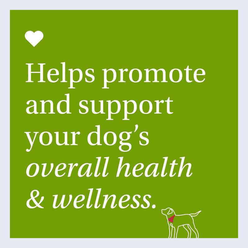 22 in 1 Dog Multivitamin Y9458