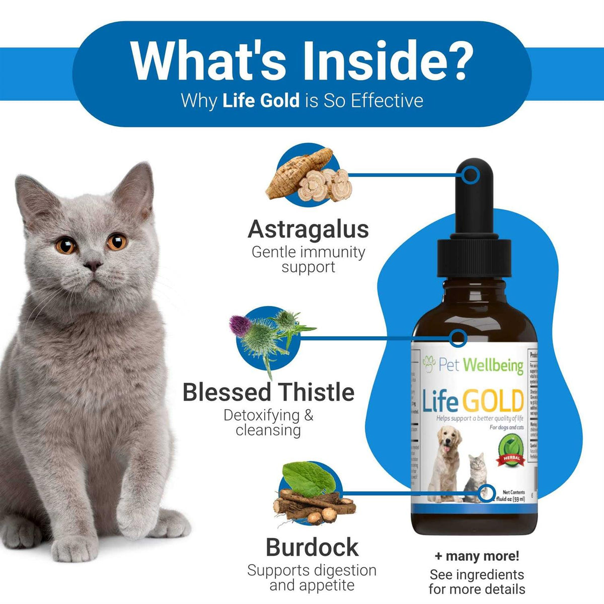Life Gold for Dogs T48585