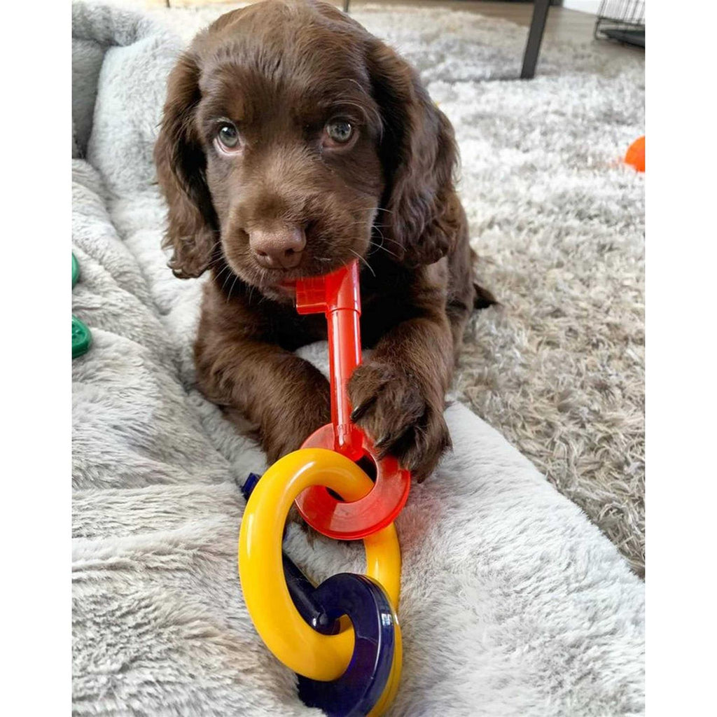 Puppy Chew Teething Keys U493