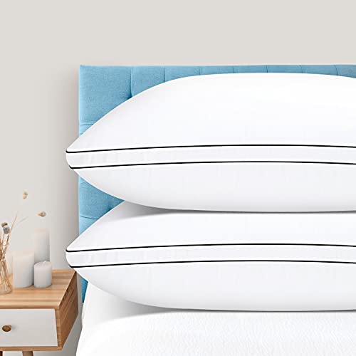 King Size Down Alternative Pillow Set of 2 C7713