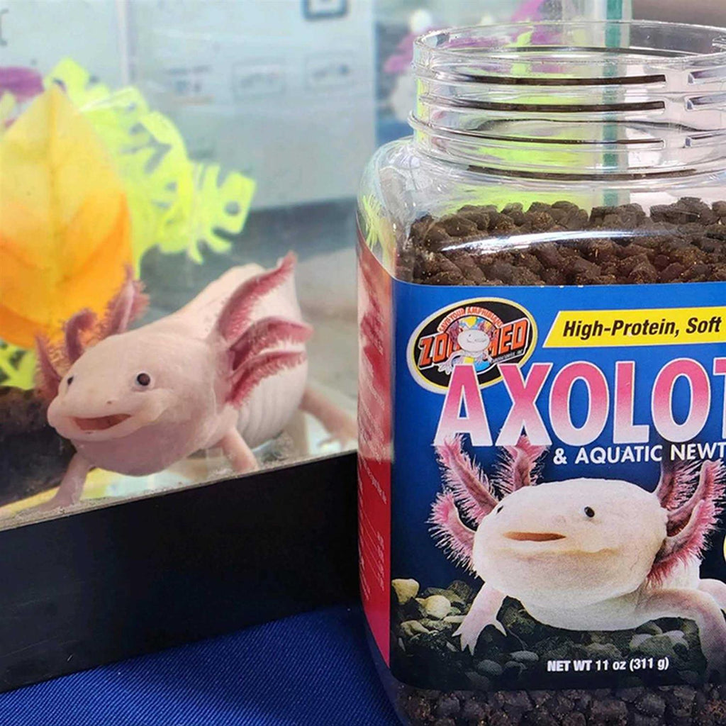 Aquatic Newt Food B597008